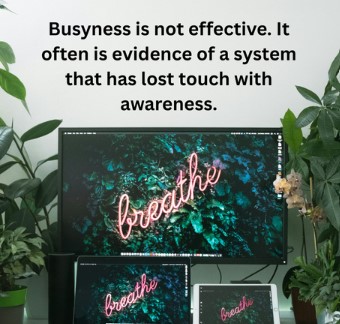 Busyness is not effective. It often is evidence of a system that has lost touch with awareness