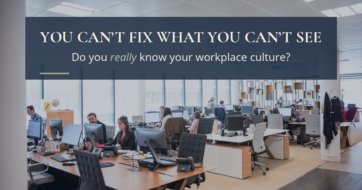 Open-plan office with employees at their desks, with the text 'You can't fix what you can't see: do you really know your workplace culture?' - a culture pulse check for leaders